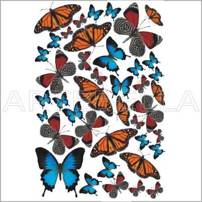 Kolay Transfer 943v Soft Desen Transparan 23x34 cm